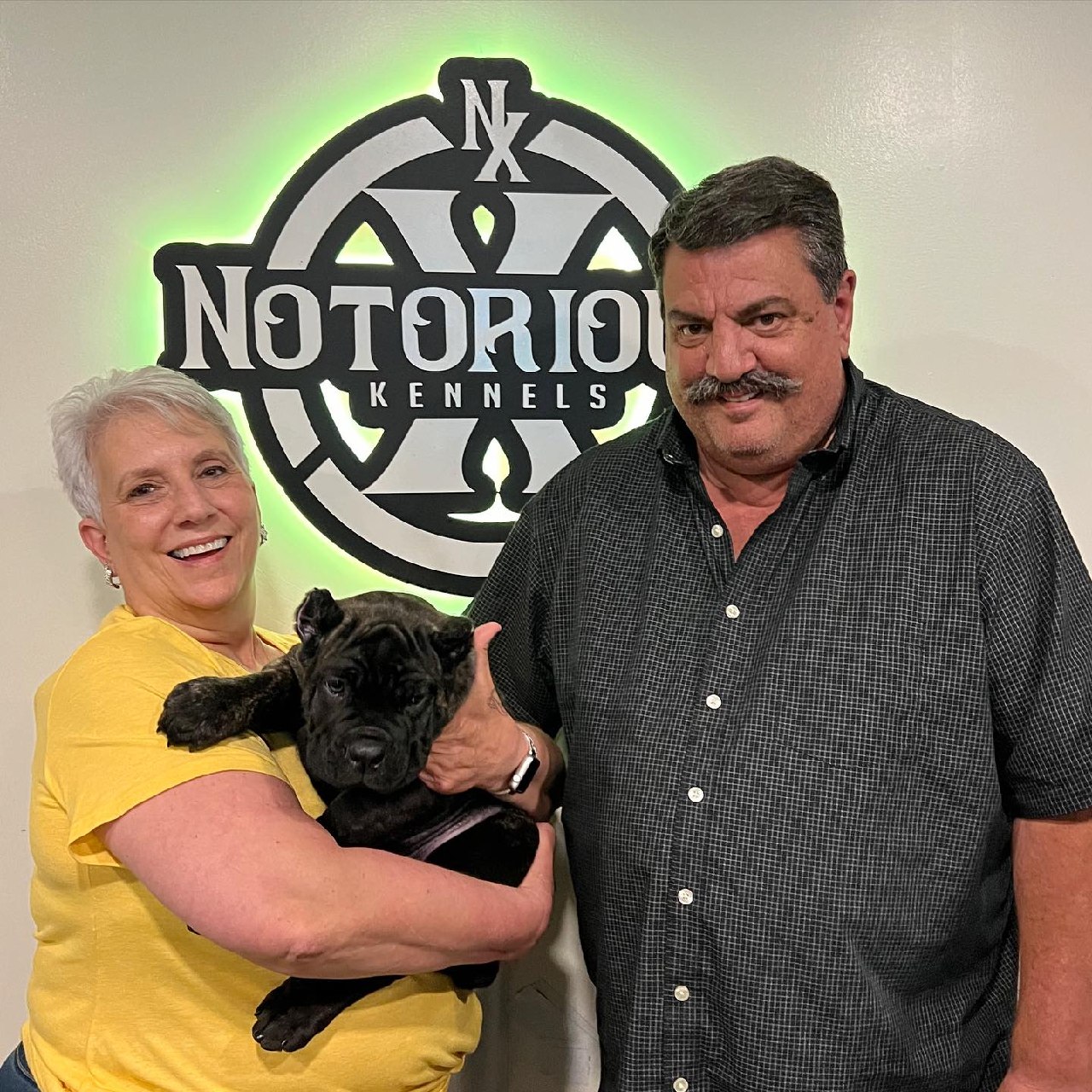 A couple collecting their brindle Cane Corso puppy at Notorious X Kennels in Riverside, California
