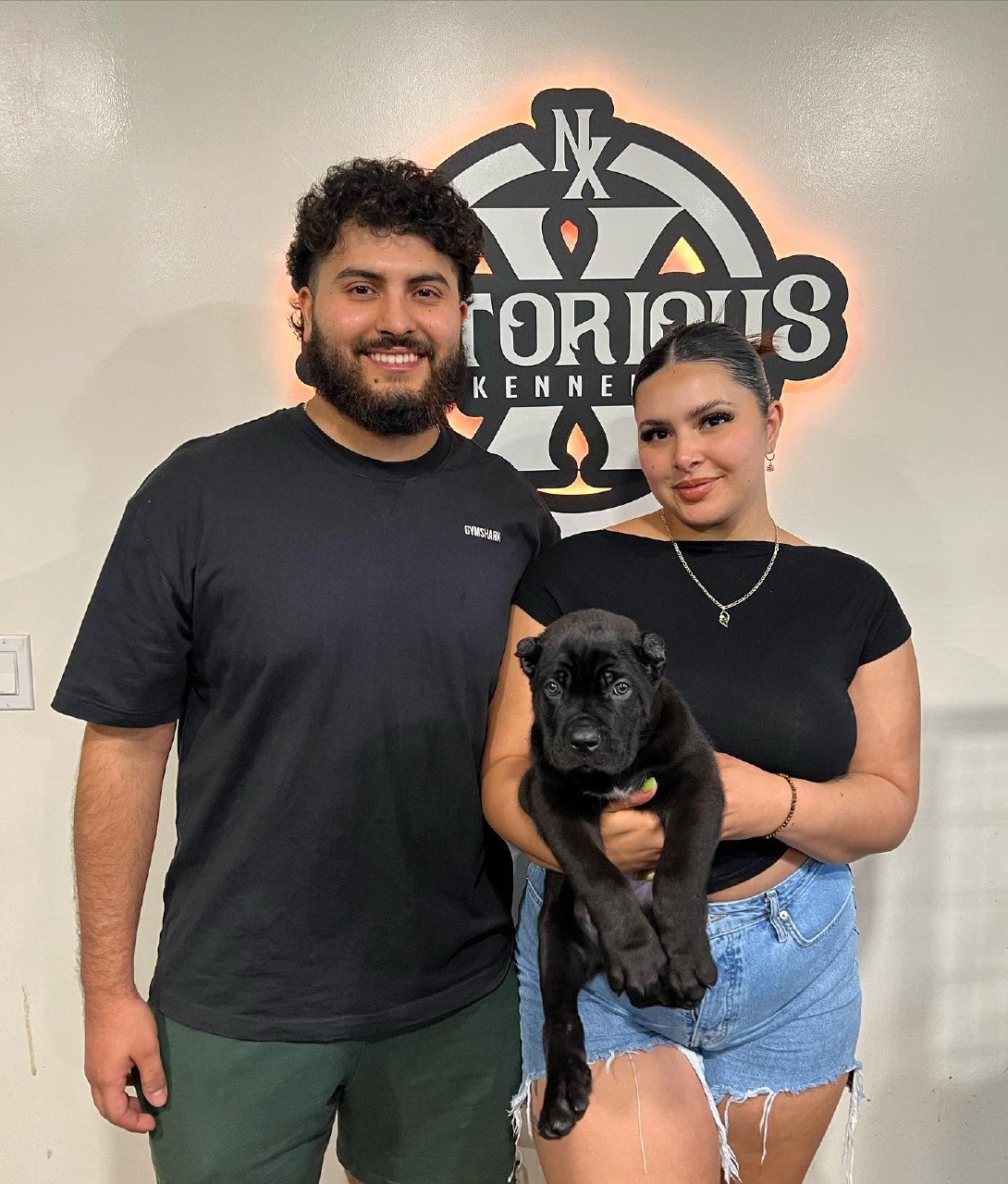 A buyer collecting a Cane Corso puppy from us in Riverside, California